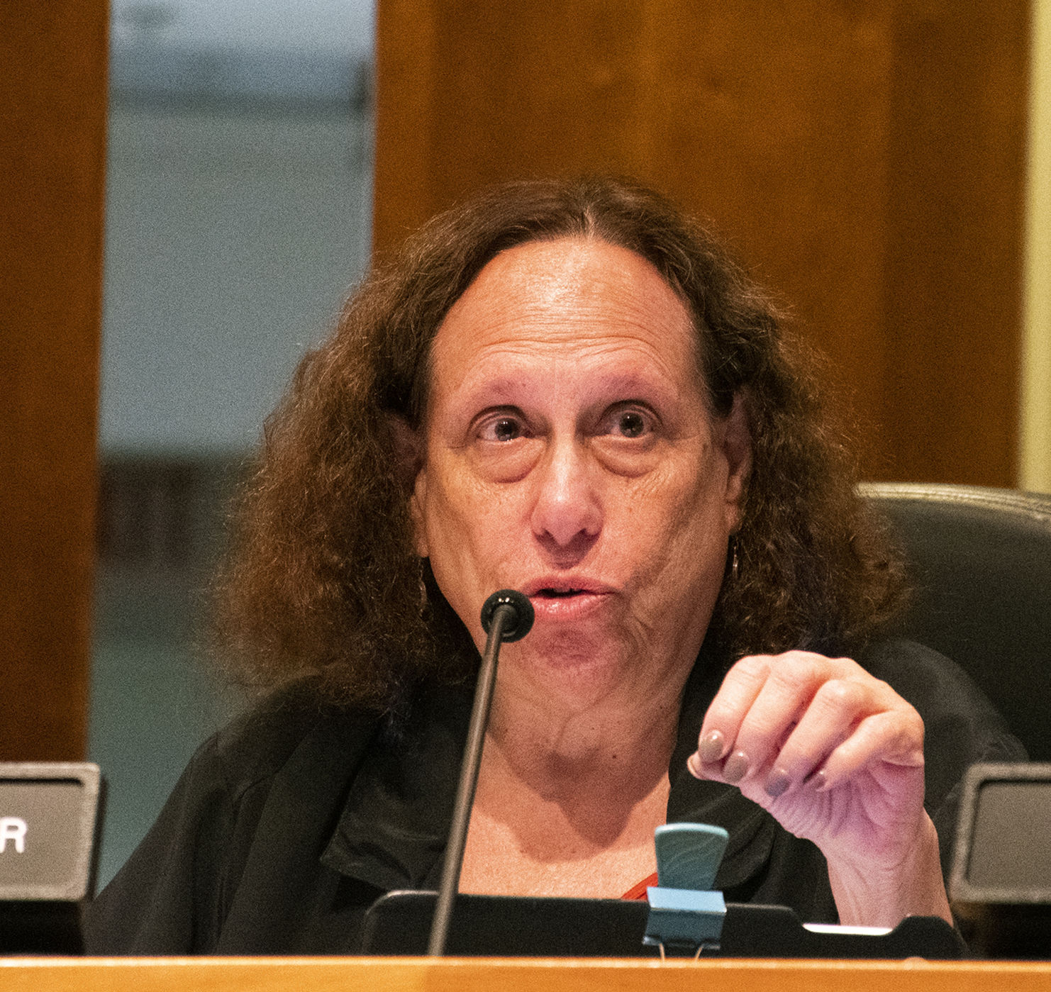 Borough Council Meeting, Theresa Lafer